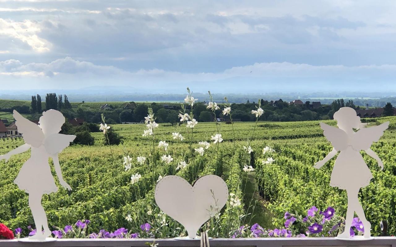Gite Riquewihr "C'Est Beau La Vie Alsace" Екстер'єр фото